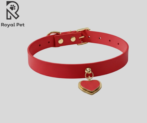 Collar para Perro Royal Pet - Prisma Modelo Kardia