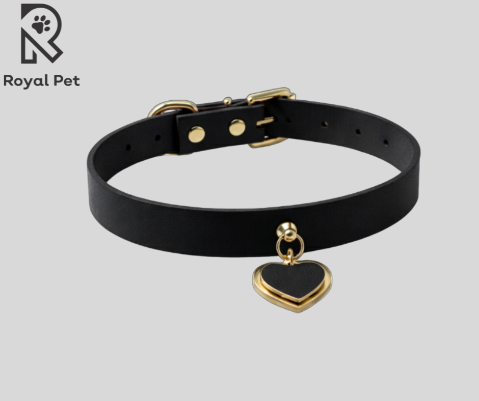 Collar para Perro Royal Pet - Prisma Modelo Kardia