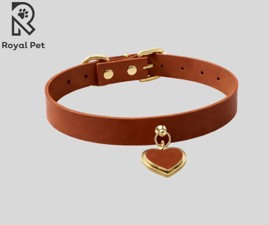 Collar para Perro Royal Pet - Prisma Modelo Kardia